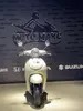 Honda Giorno AF 77 жемчужный